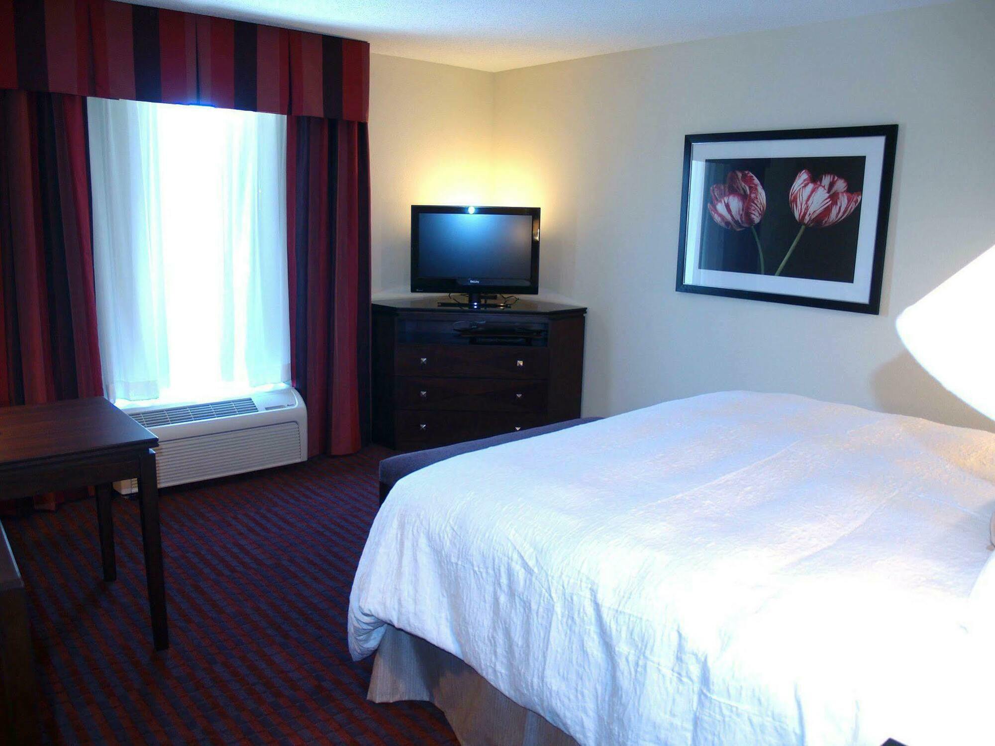 Hampton Inn Richmond - Airport Сандстон Номер фото